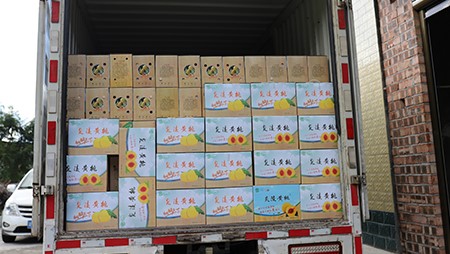 助銷黃桃社會(huì)扶貧，關(guān)愛員工送高溫福利